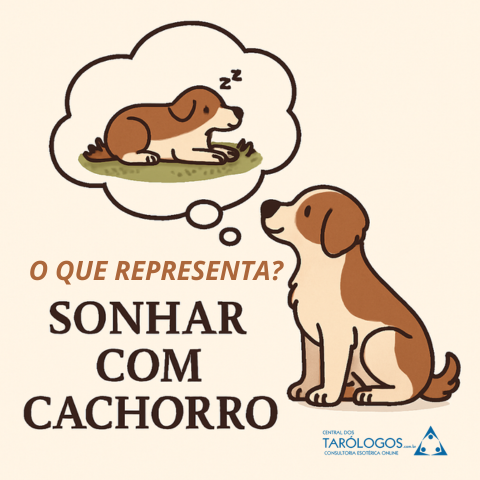 Sonhar com Cachorro: O Que Significa Este Sonho?