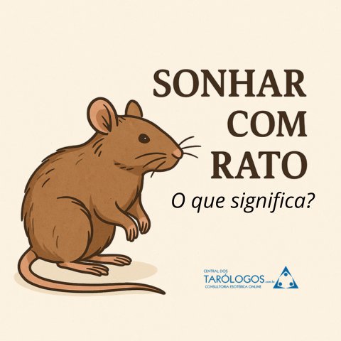 Sonhar com Rato: O Que Significa Este Sonho?